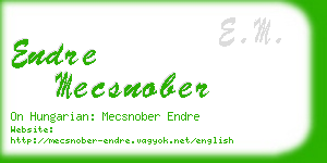 endre mecsnober business card